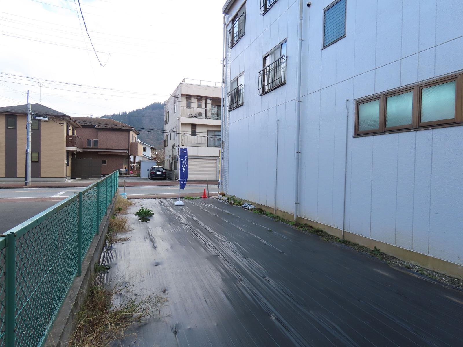 後方より撮影